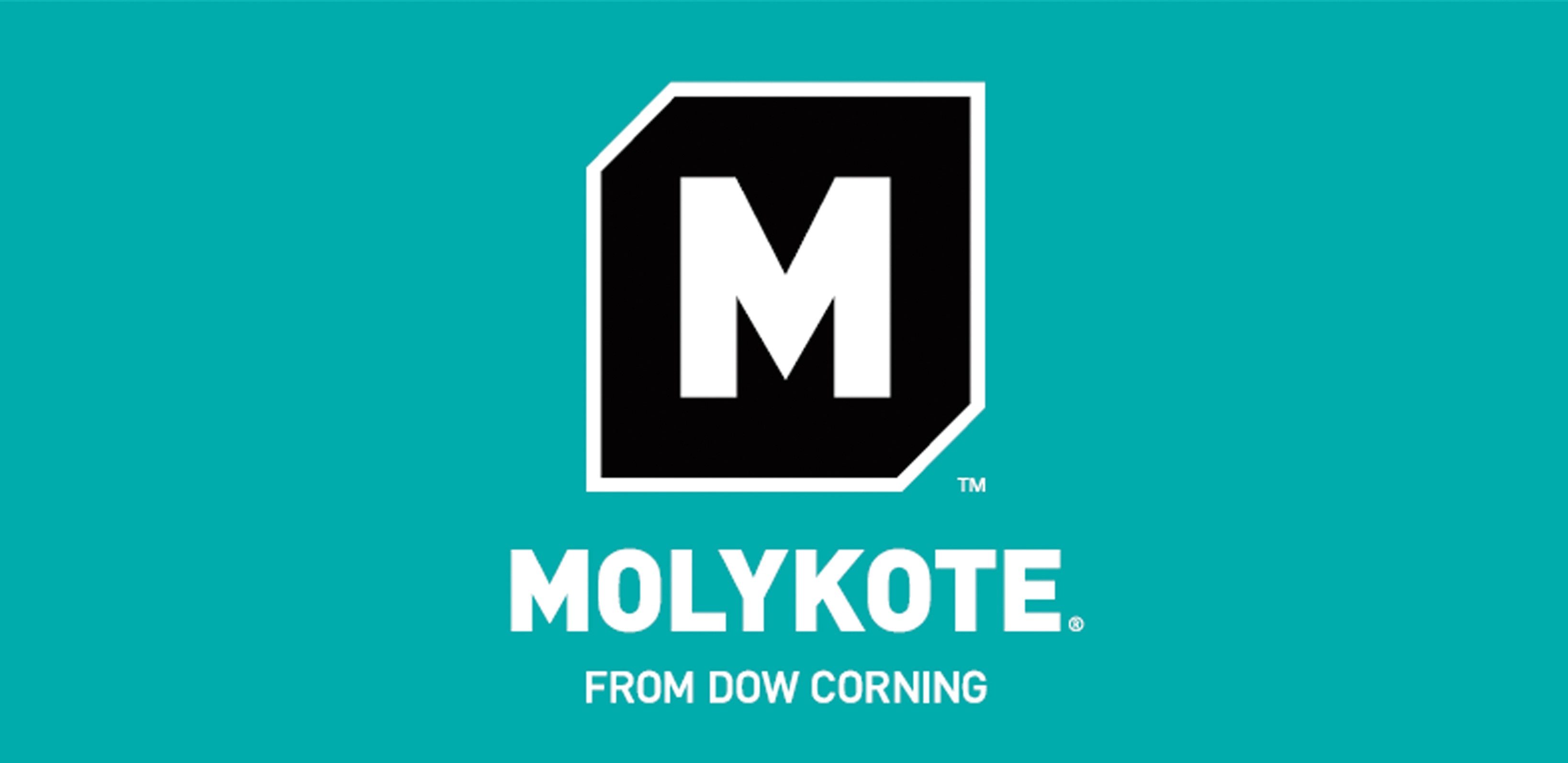 Molykote 55 O-Ring Graisse haute performance 100g tube - achat en ligne